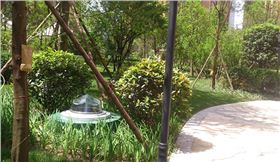 鉆石形采光系統 鉆石形采光系統