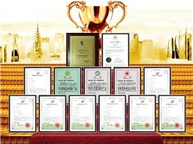 正能量科技企業榮譽 正能量科技企業榮譽