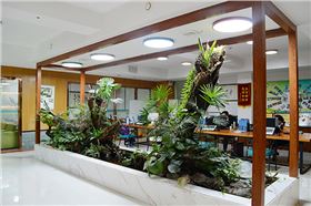 光導(dǎo)管2 光導(dǎo)管2