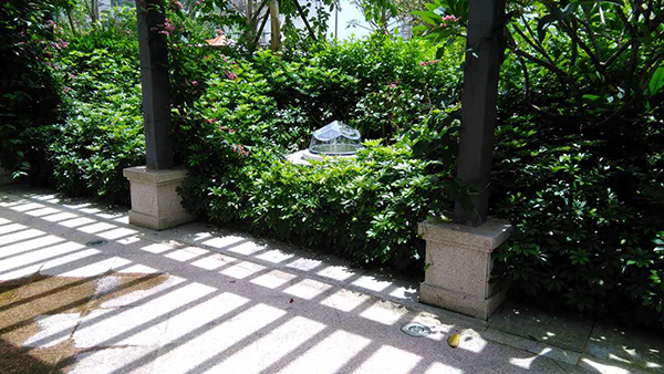 五洲灣光導(dǎo)照明應(yīng)用 五洲灣光導(dǎo)照明應(yīng)用