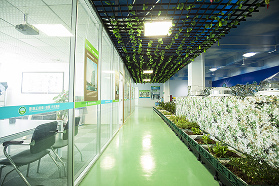 側(cè)墻水平傳輸光線照明效果 側(cè)墻水平傳輸光線照明效果