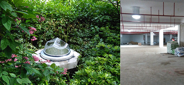 光導管綠化帶應用 光導管綠化帶應用