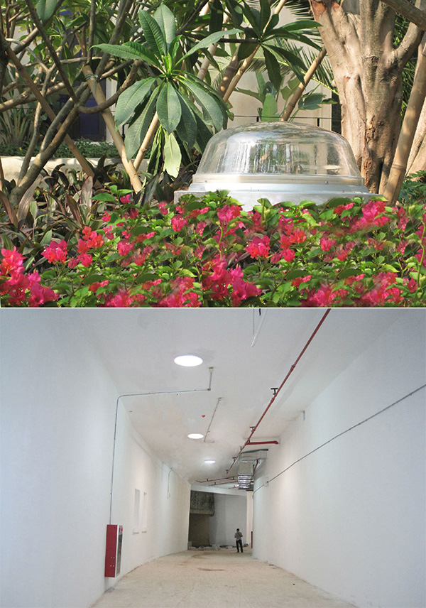 光導照明綠化叢應用 光導照明綠化叢應用