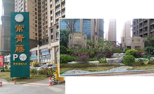 南寧常青藤-香港正能量科技集團 南寧常青藤-香港正能量科技集團