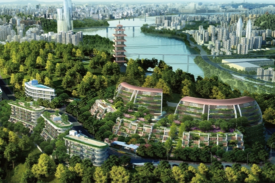 重慶鵝嶺峰——導光系統應用 重慶鵝嶺峰——導光系統應用