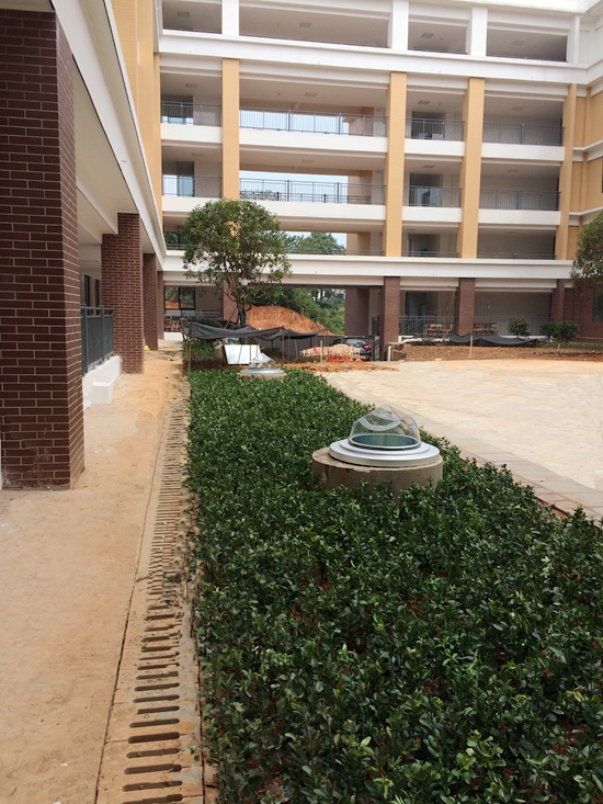 長沙紅橋中學——正能量無電照明系統 長沙紅橋中學——正能量無電照明系統