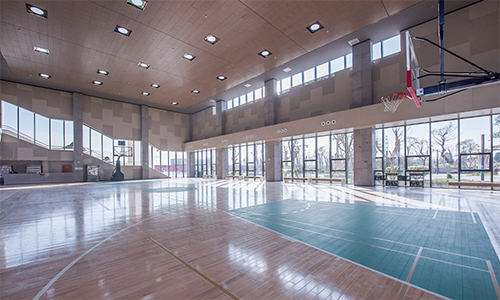 江門(mén)體育館使用正能量日光照明 江門(mén)體育館使用正能量日光照明