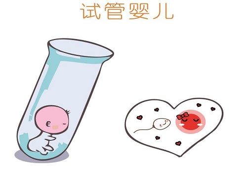 泰國(guó)試管嬰兒多少錢一次