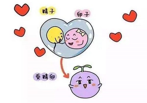 國外三代試管準(zhǔn)備多少錢夠呢